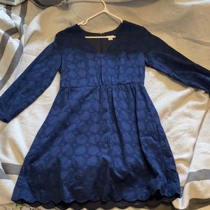 Navy Lace J.Crew Dress